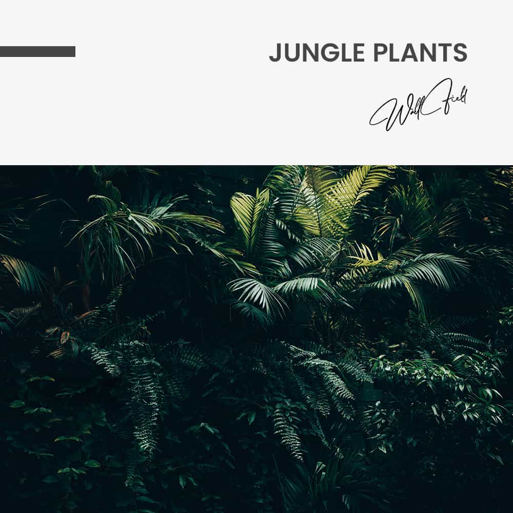 Jungle Plants - Muurcirkel Glass