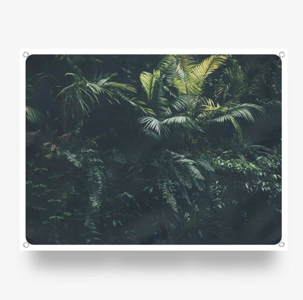 Jungle plants - tuinposter