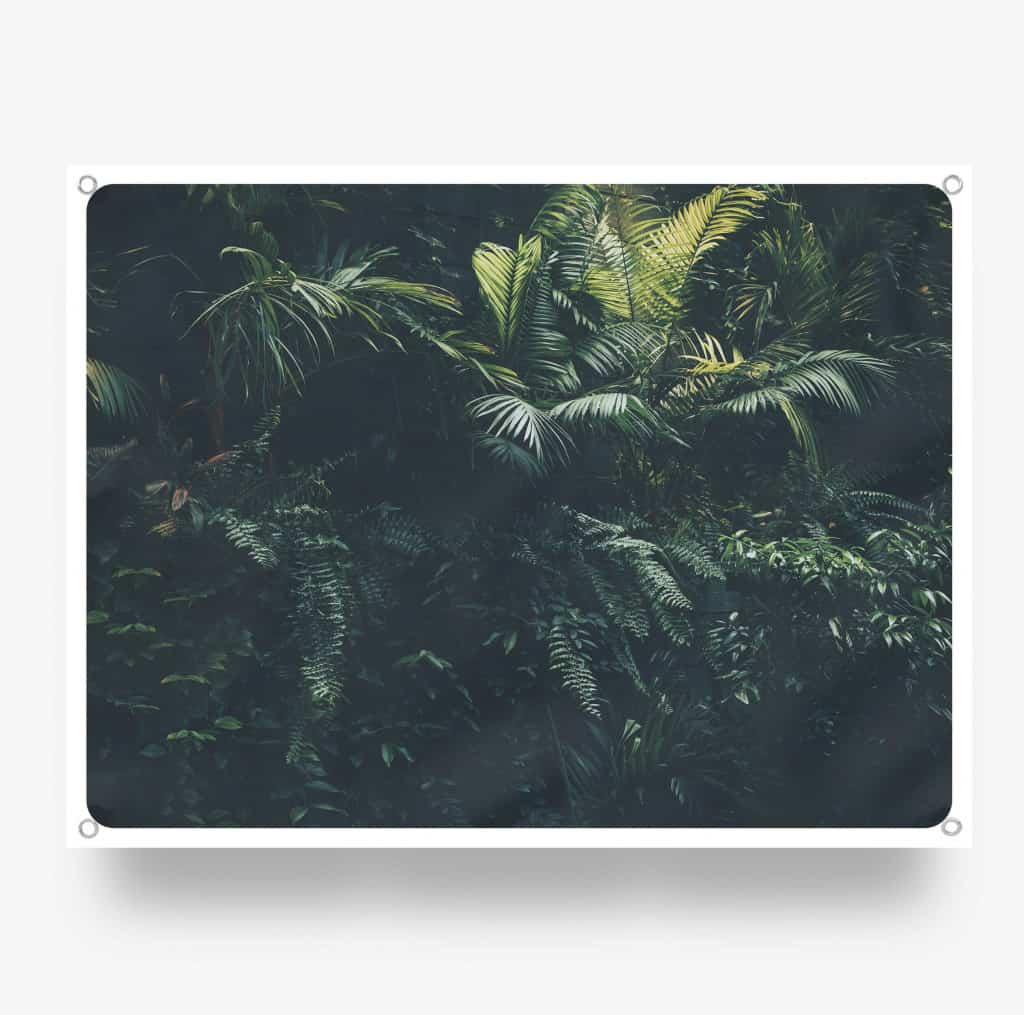 Jungle-plants.jpg