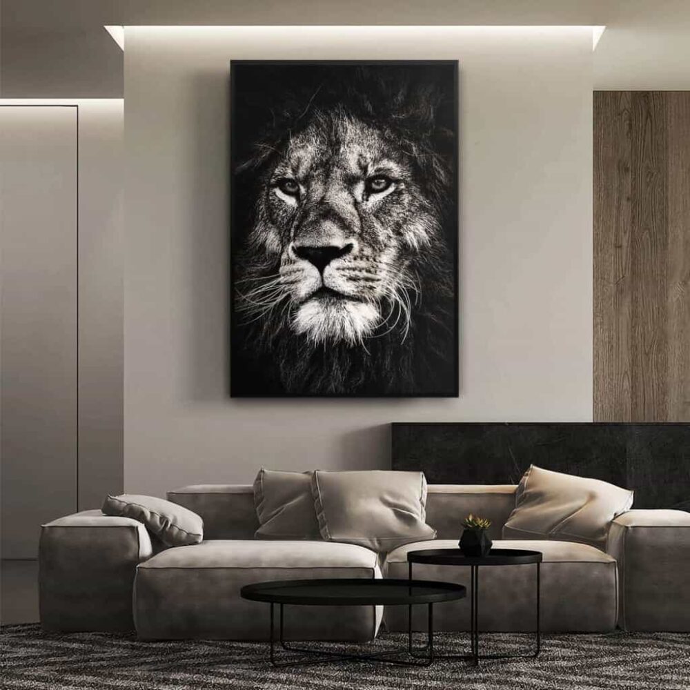 “Lion close-up”
