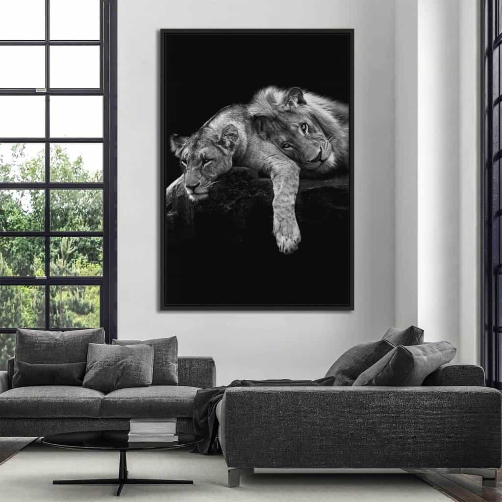 Lion-Love-Canvas.jpg