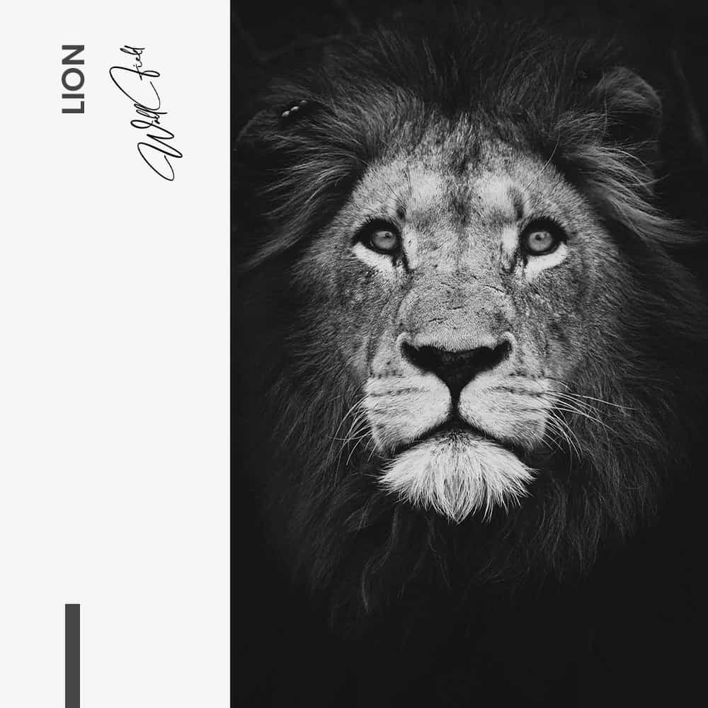 Lion - Muurcirkel Dibond
