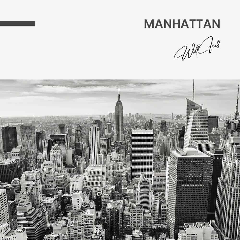 Manhattan - tuinposter