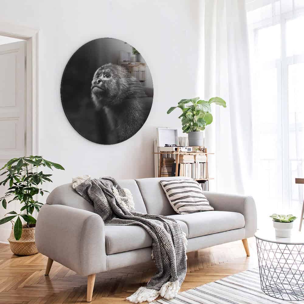 Monkey-Glass.jpg