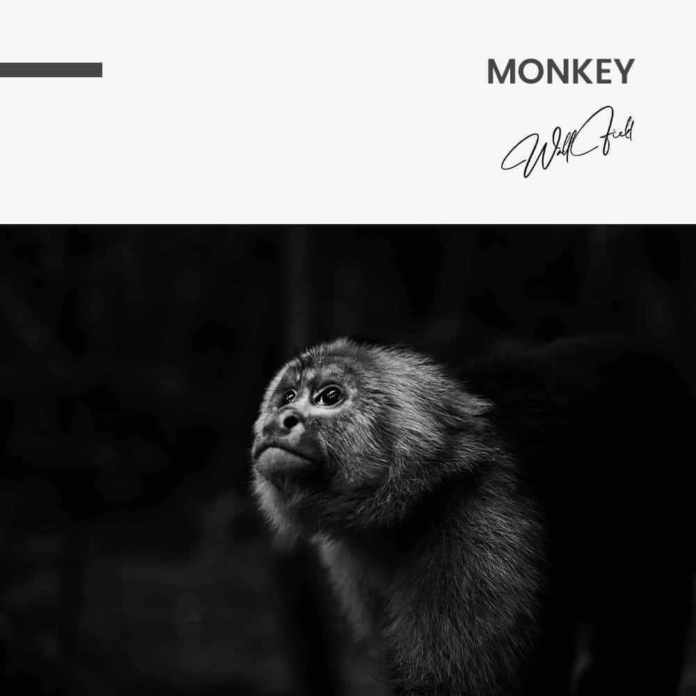 Monkey - Muurcirkel Glass