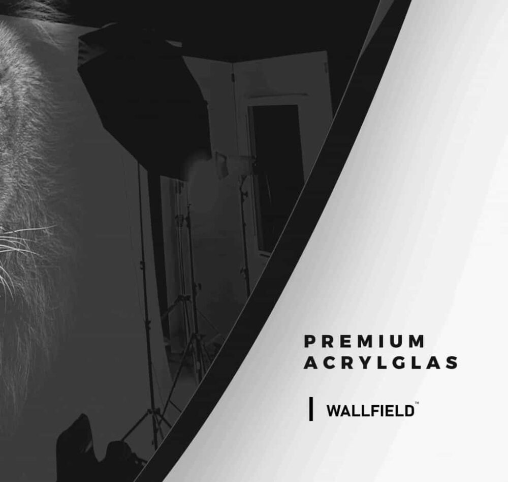 Lion - Muurcirkel Glass