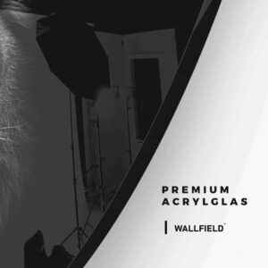 Lion - Muurcirkel Glass