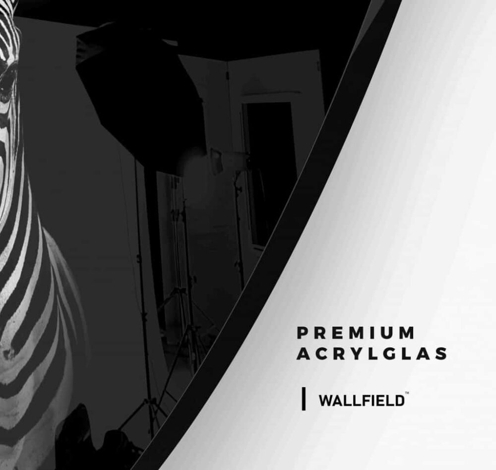 Zebra BW - Muurcirkel Glass