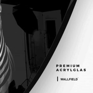 Zebra BW - Muurcirkel Glass