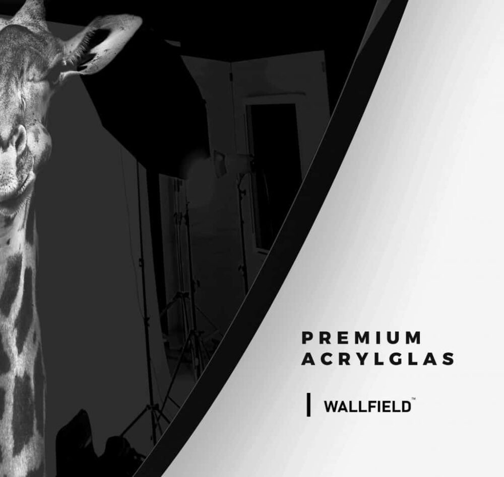 Giraffe - Muurcirkel Glass