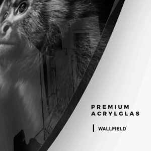 Monkey - Muurcirkel Glass