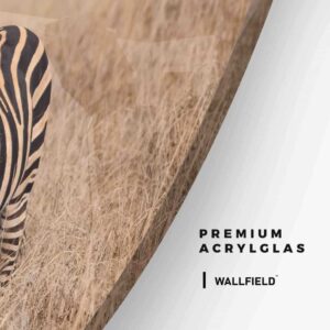 Zebra - Muurcirkel Glass