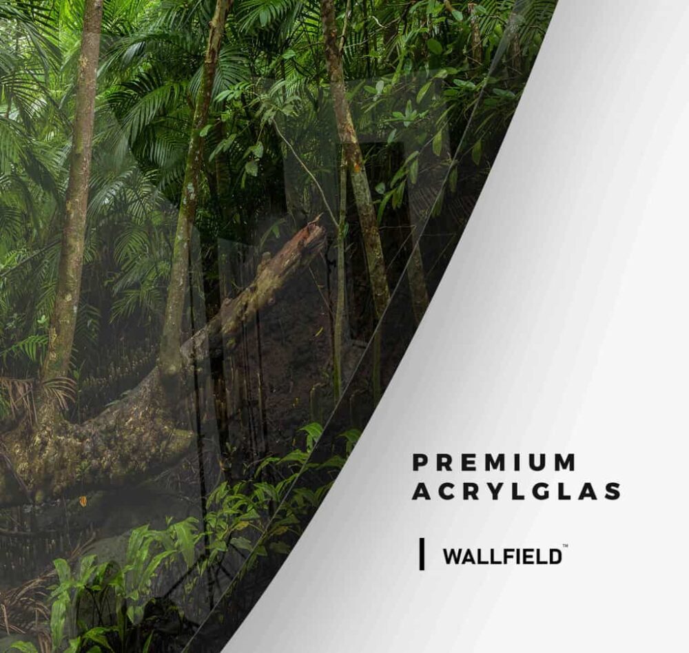 Tropical Rainforrest - Muurcirkel Glass