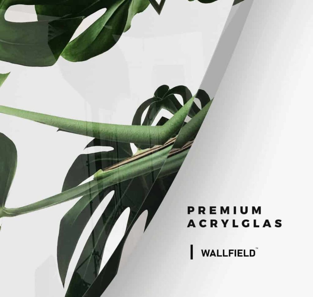 Monstera Leaf - Muurcirkel Glass
