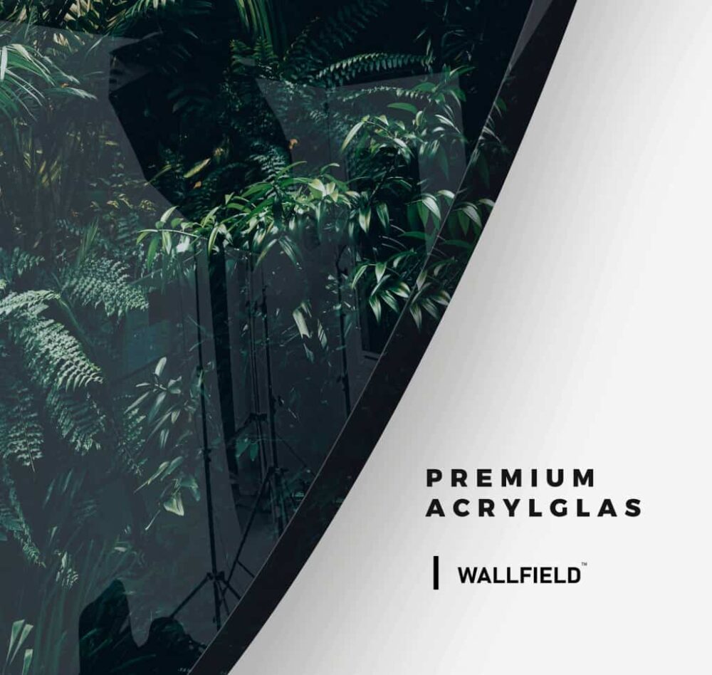 Jungle Plants - Muurcirkel Glass