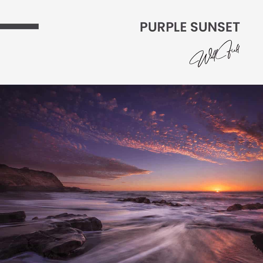 Purple Sunset - Muurcirkel Dibond