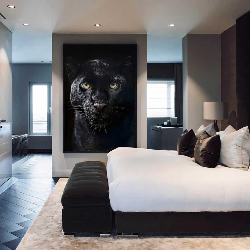 The-Jaguar-Canvas.jpg