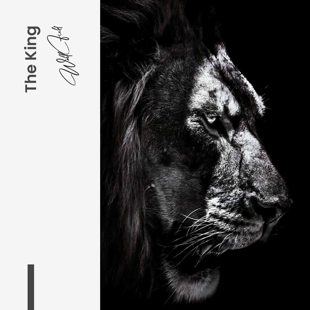 The King - tuinposter
