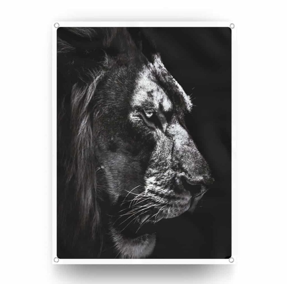 The King - tuinposter