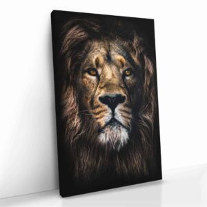 TheLionCvas