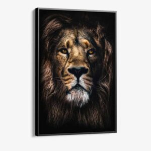 TheLionCvas-Detail-1