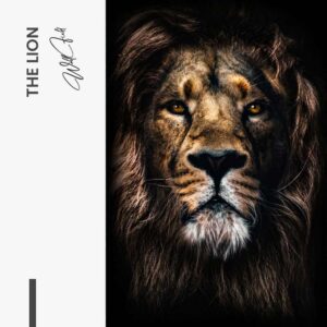 TheLionDesign-signature - tiny