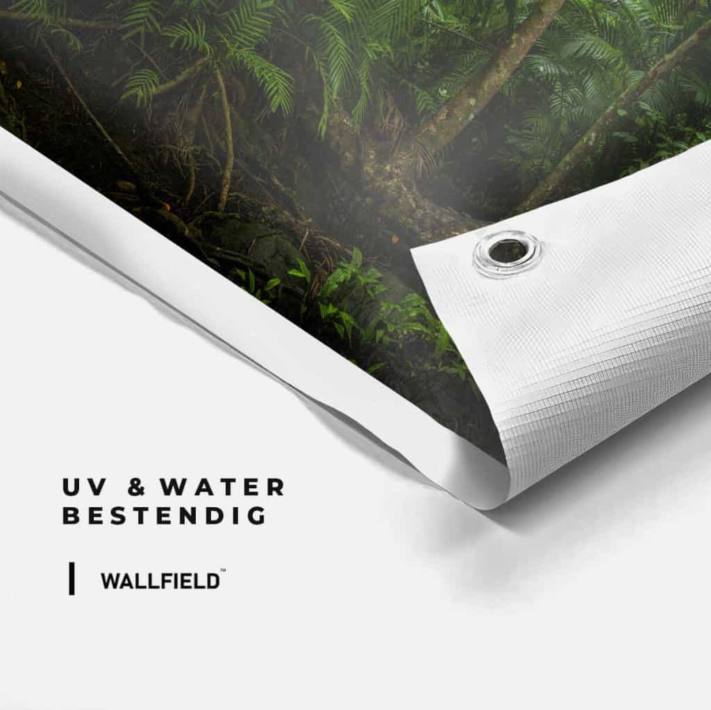 Tropical-Rainforrest-Detail.jpg