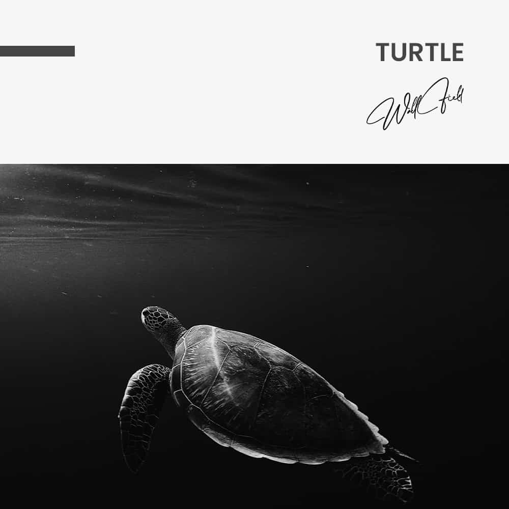 Turtle - Muurcirkel Glass