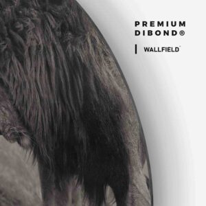 Loving Lion - Muurcirkel Dibond
