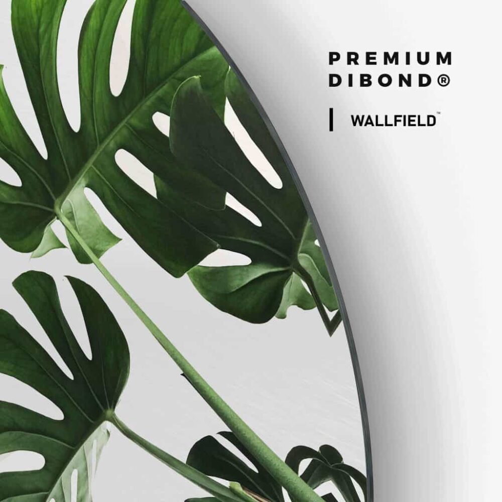 Monstera Leaf - Muurcirkel Dibond