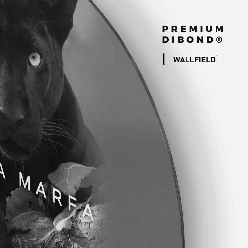 Designer Panther - Muurcirkel Dibond