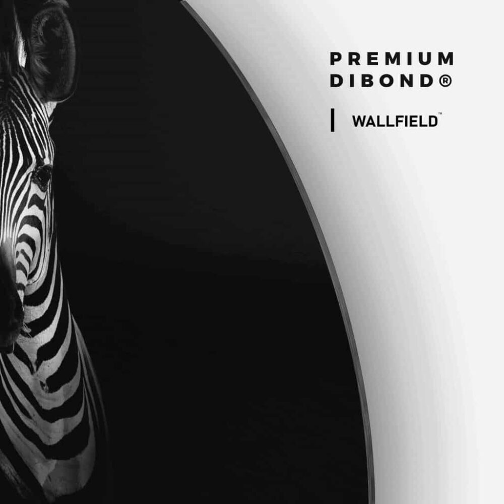Zebra BW - Muurcirkel Dibond