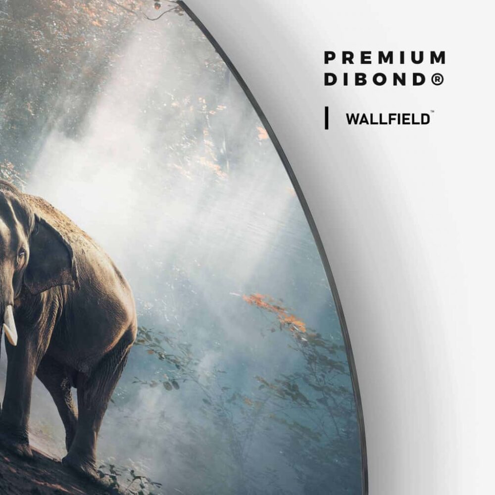 Elephant in the Jungle - Muurcirkel Dibond