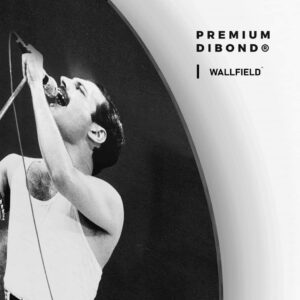 Freddie Mercury - Muurcirkel Dibond