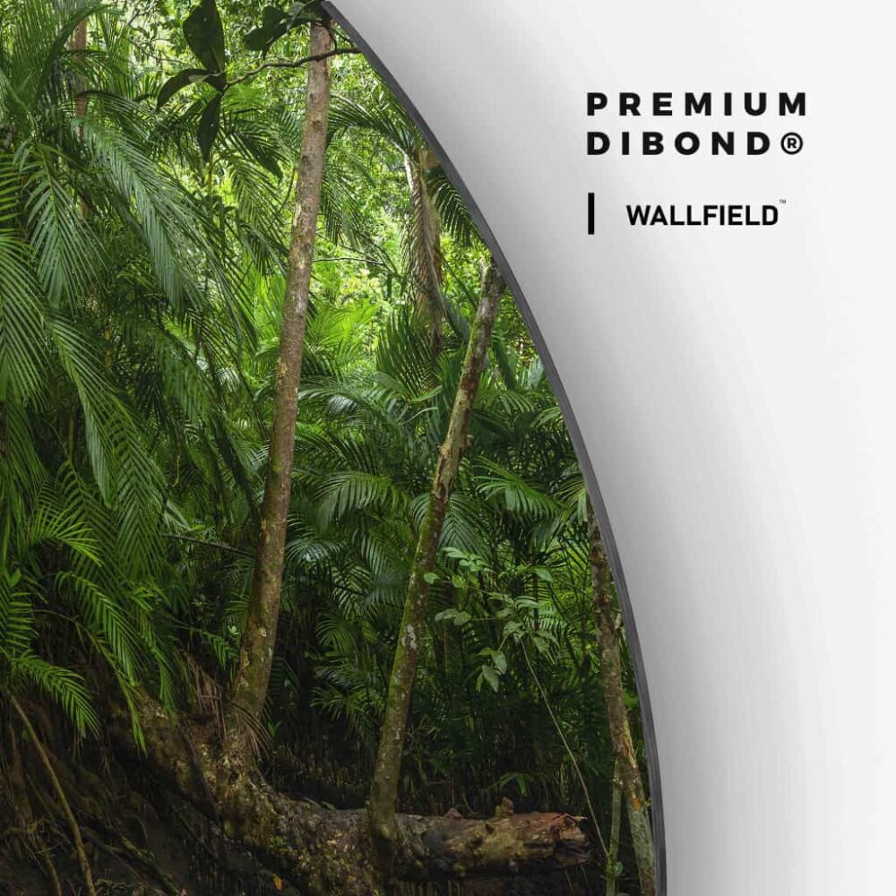 Tropical Rainforrest - Muurcirkel Dibond