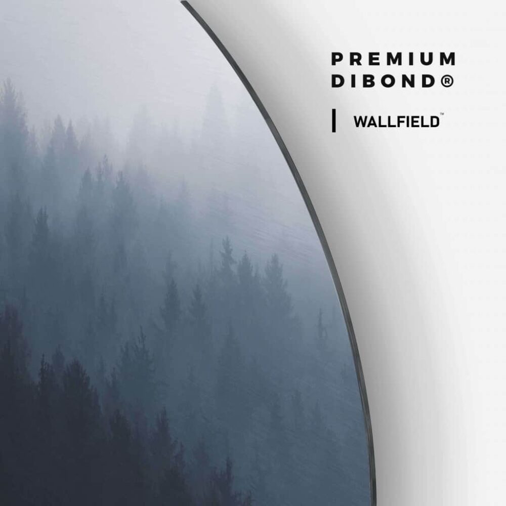 Misty Forrest - Muurcirkel Dibond