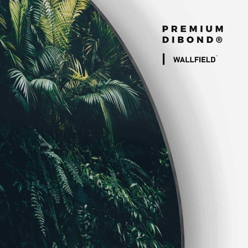 Jungle Plants - Muurcirkel Dibond