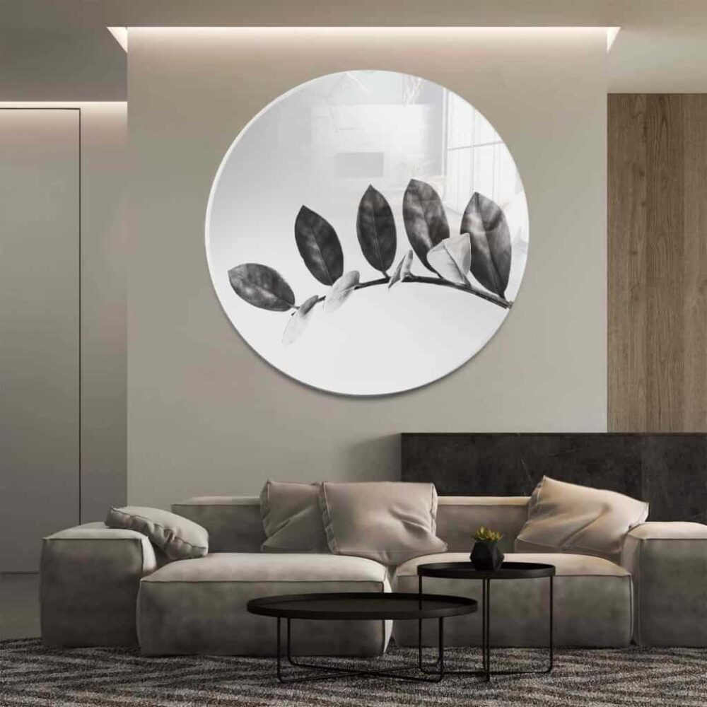 Zamioculcas - Muurcirkel Glass