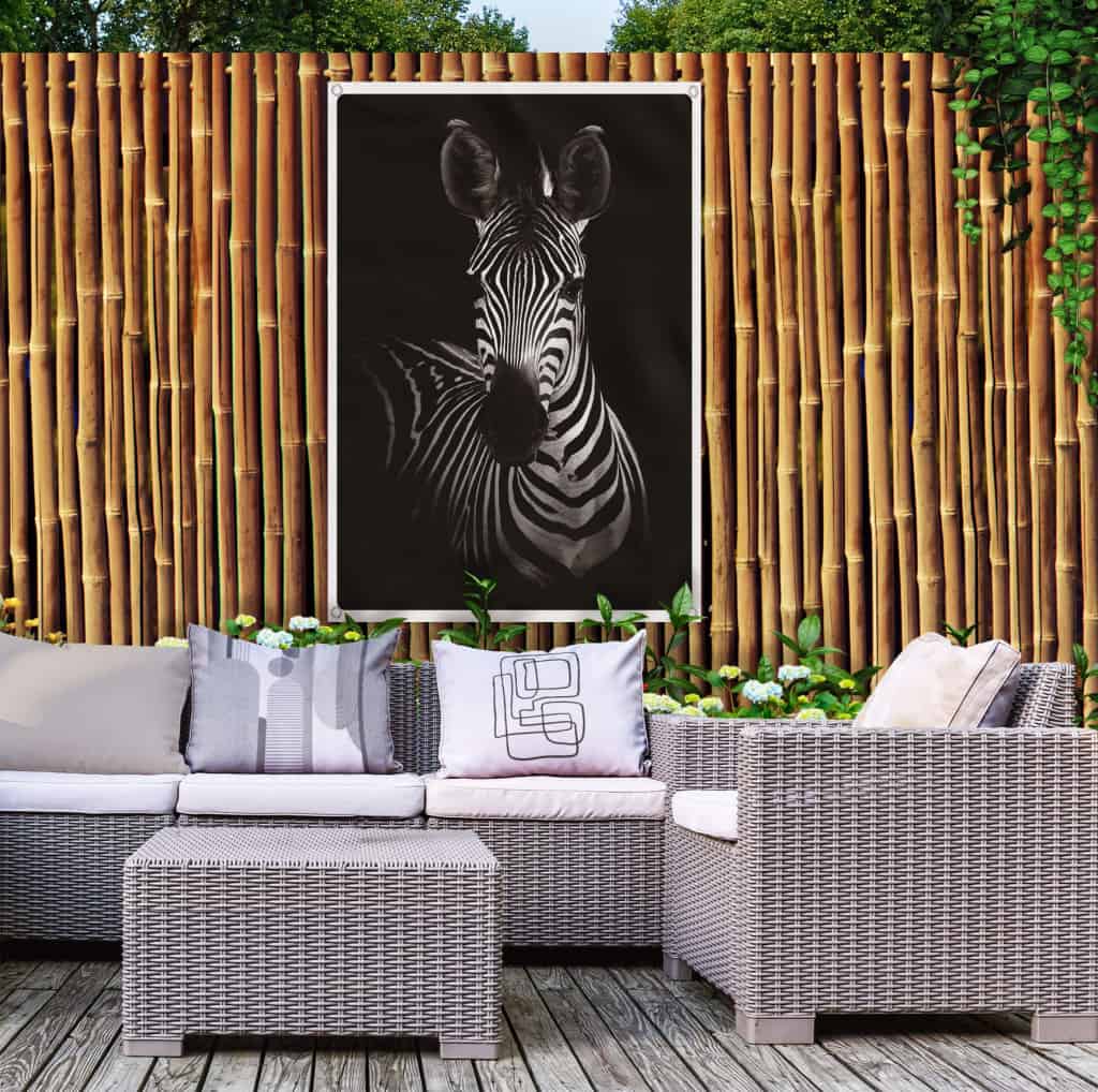 Zebra-BW_1.jpg
