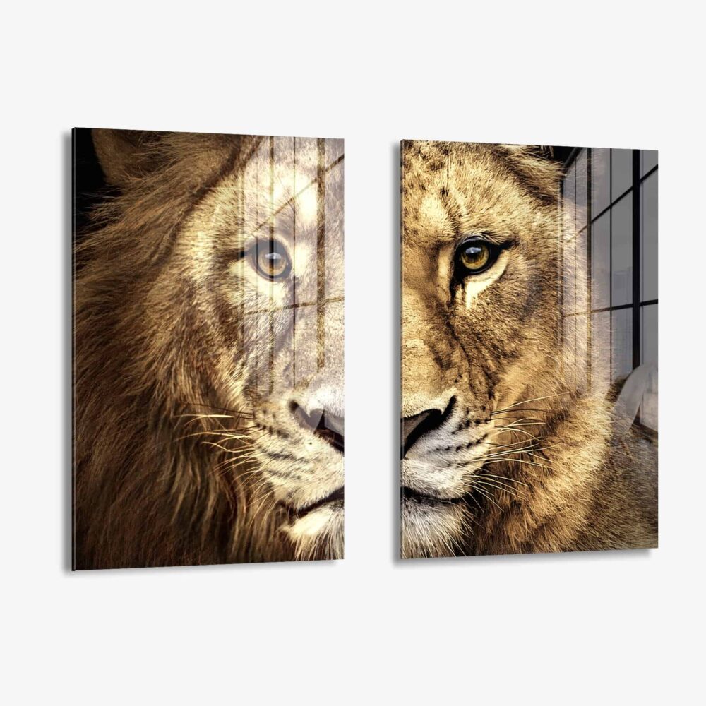 Bundel-Lion-lioness-Color-2x-Glass