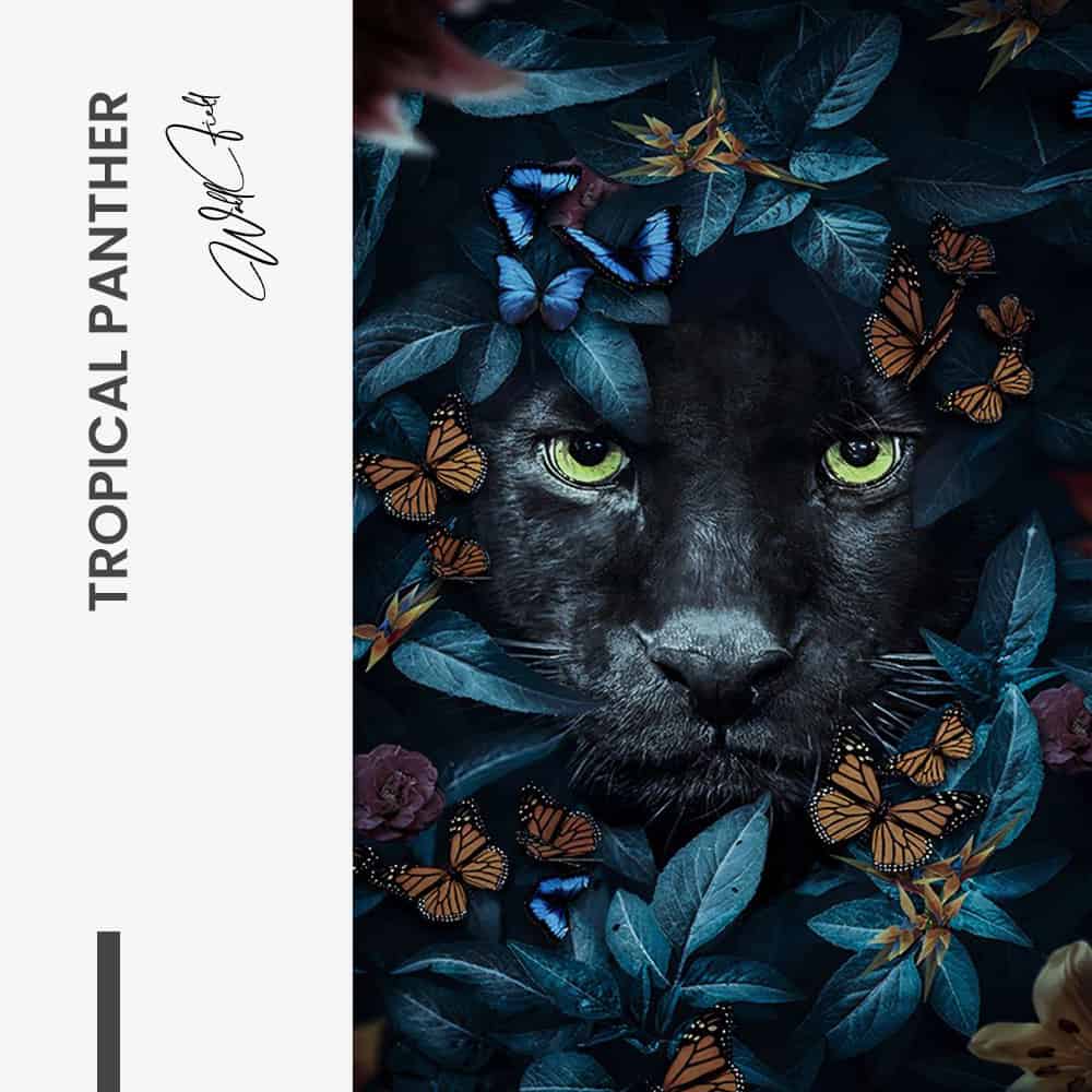 Bundle: “Tropical Animals” (3x) – Glass - Kopiëren