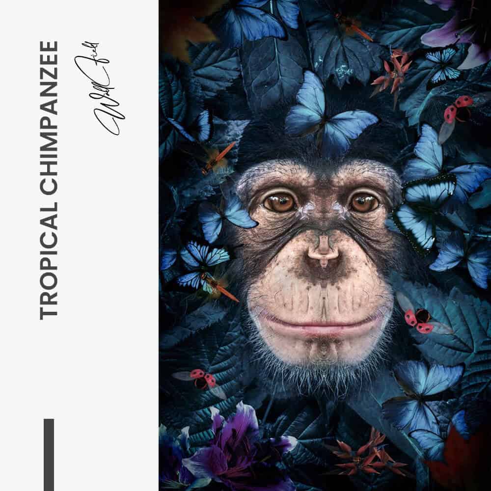 Bundle: “Tropical Animals” (3x) – Glass - Kopiëren