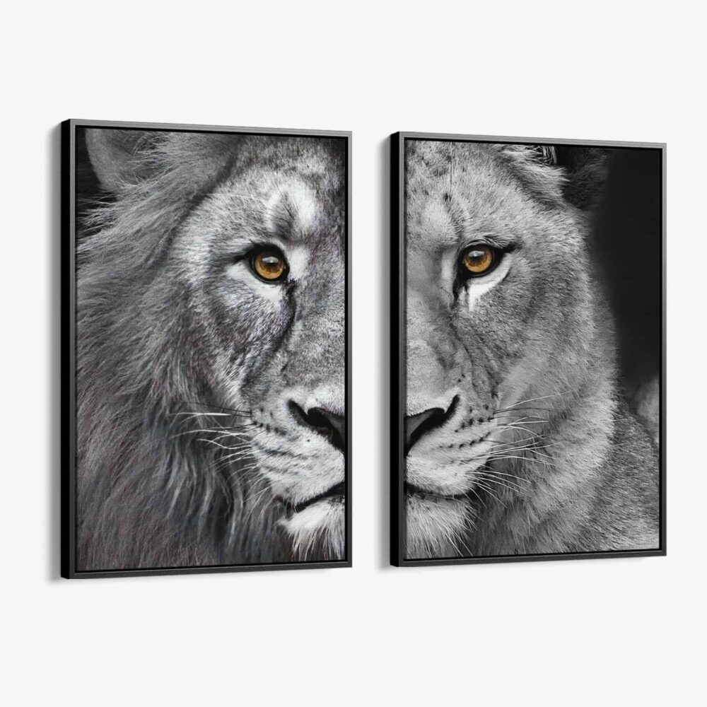 Bundle-Lion-Lioness-2x-Canvas
