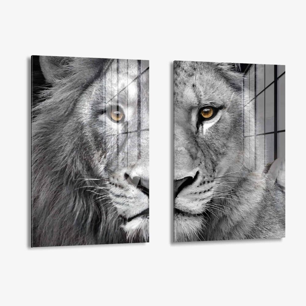 Bundle-Lion-Lioness-2x-Glass