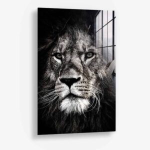 Lion Close-Up - Glass