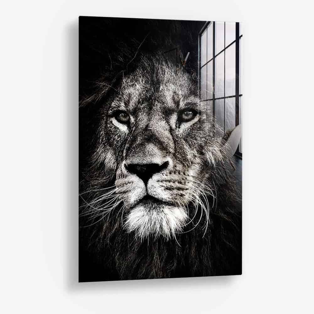 Lion-close-up-front.jpg