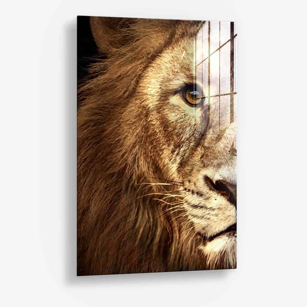 LionColorGlass-Detail-1.jpeg