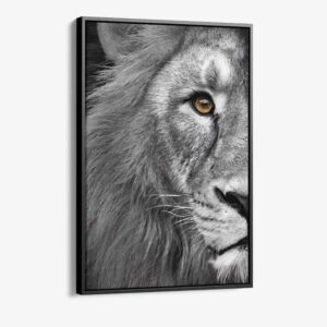 Bundel: Lion & lioness (2x) - Kopiëren