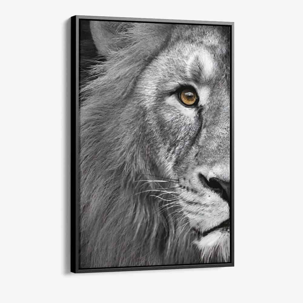 Bundel: Lion & lioness (2x) - Kopiëren