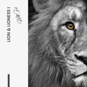 Bundel: Lion & lioness (2x) - Glass - Kopiëren